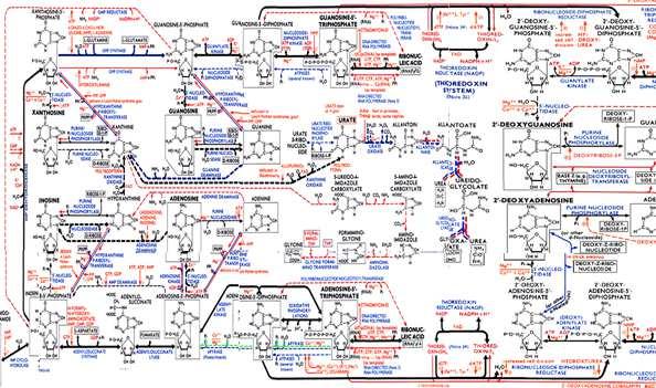 technology GENETICS