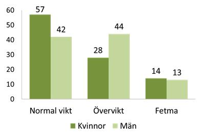 INDIVIDUELLA KOSTRÅD Ev diagnos Övervikt/undernäring Matvanor idag Fysisk aktivitet