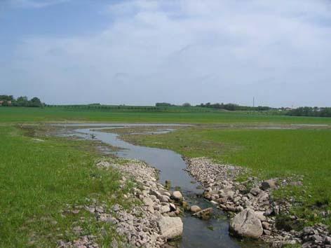 I Klingavälsån har märkt havsöringsmolt (telemetri: N = 7, Floy-tag: N = 35) och ål (telemetri: N = 3, Floy-tag: N = 7) satts ut: 1) Uppströms den meandrande sträckan (U1, 27 och 28, Figur 2.3).