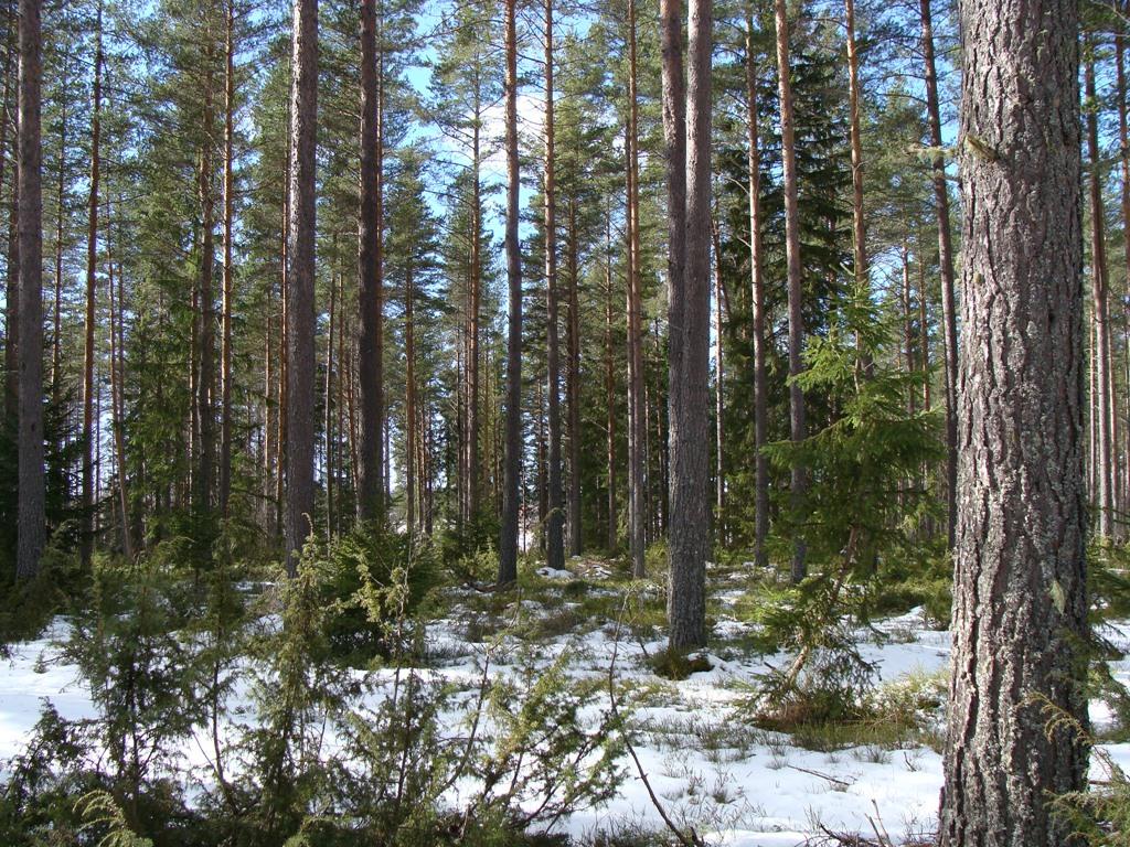 LJUSDAL VECKEBO 12:23 Bilagor Avdelning 6 Avdelning 24 Kartor ur