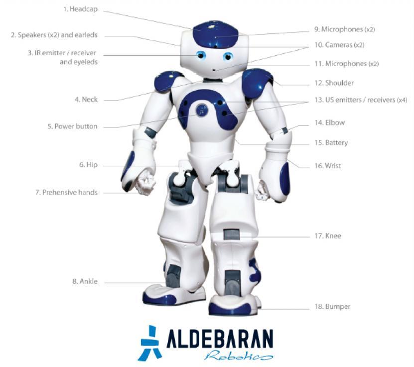 2016-09-12 13 The NAO Robot 58 cm, 5.