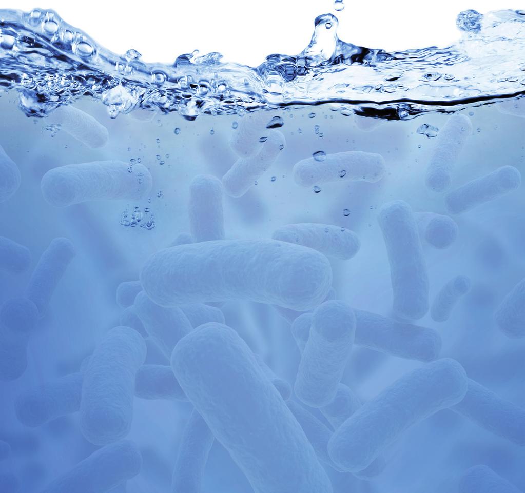 Bakterier bildar biofilm!