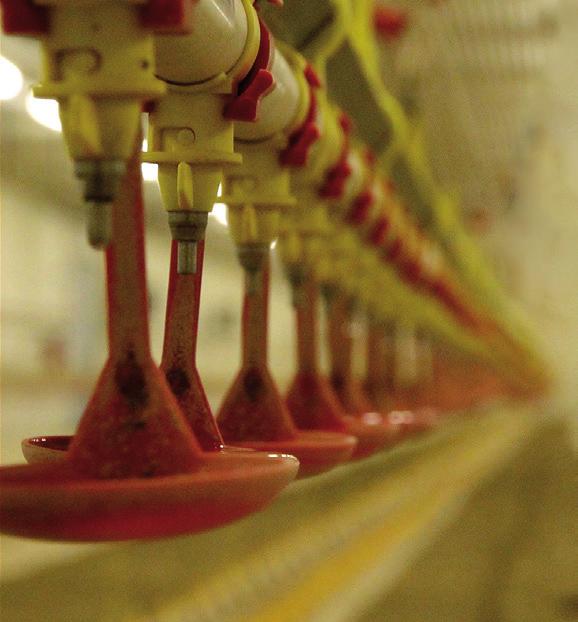Anolyt-pH håller bakterienivån under kontroll Miljövänligt 100 90 Anolyt-pH Ingen biofilm och bakteriekontrollerat vatten Trygghet dygnet runt, året runt När vi har installerat utrustningen så sköter