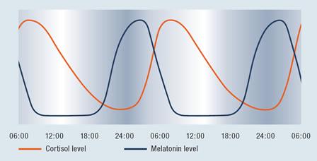 Kortisol