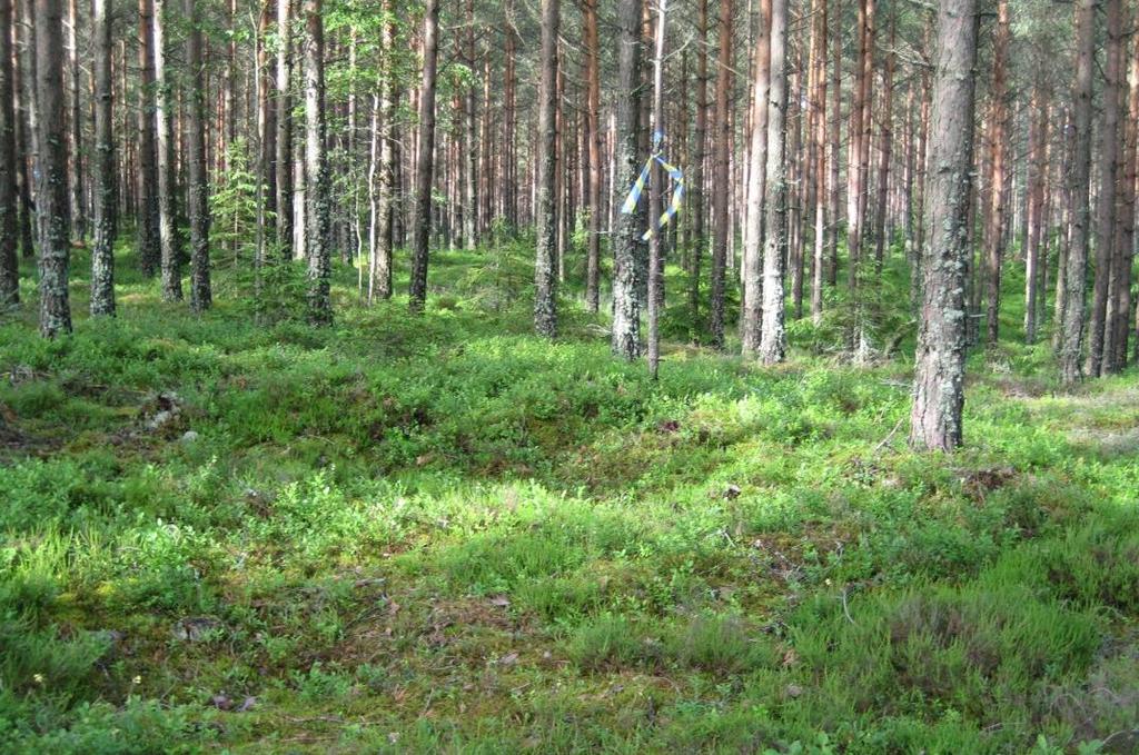 En arkeologisk identitet En förenklad läsning av det empiriska källmaterialet Förbiser dynamik och komplexitet lämnar