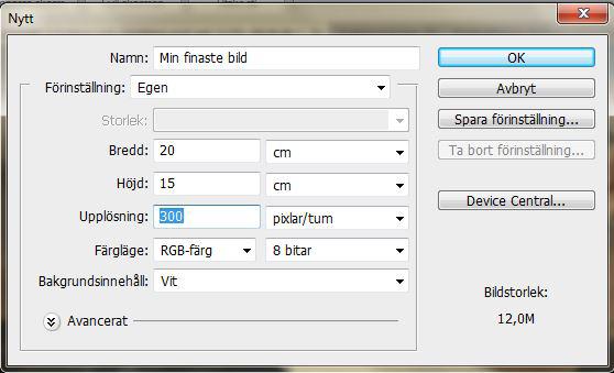 Skapa, öppna och ladda ned bilder Skapa en bild 1. Välj Arkiv - Nytt 2. Ge bilden ett namn i rutan Namn 3. Skriv vilken bredd och höjd i rutan Bredd och Höjd 4. Ange upplösning (pixlar/tum = dpi) 5.