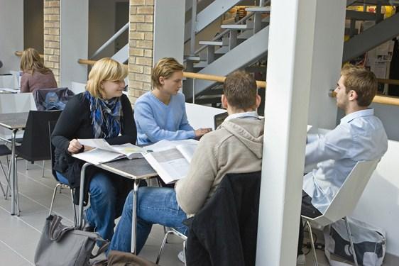 Forskningsanknytning Forskningsanknytning är en sammanfattande benämning på åtgärder som stärker sambandet mellan forskning, utveckling och utbildning Forskningsanknytning är