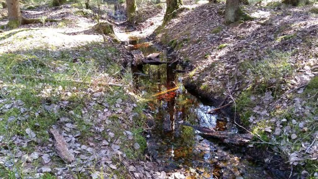 sid. 7(9) Ett mindre dike/ytvatten konstaterades också vid besök på plats. Dike i områdets södra del. Foto 2015-04-21 5.