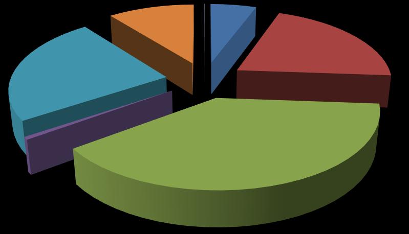 Drivmedelsfördelning Fördelningen mellan drivmedel visar att diesel är fortsatt dominerande medan biogasandelen är ca 24 % Biogas 24% Drivmedel 216 HVO 1% El % Bensin
