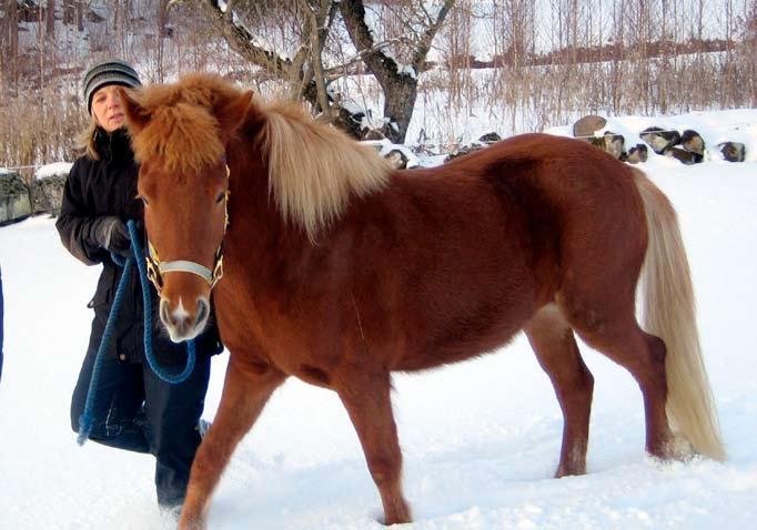 B a c k l a n d s k a p M o s a i k a r t a t, o d l a t b a c k l a n d s k a p S Y D S K Å N S K A B A C K L A N D S K A P E T Befolkning Området Skåne Totalbefolkning: 55 481 inv 1 160 919 inv