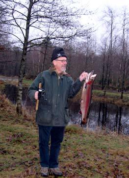 Fårproduktionen har ökat kraftigt och fåren är nu viktiga för möjligheterna att hålla markerna öppna.
