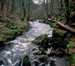 I söder övergår åsen gradvis till ett mjukt backlandskap utan större topografisk variation. Här utgörs gränsen mellan de båda områdena av åsens skogsbryn.