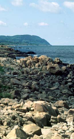 H ö g l ä n t l a n d s k a p M o s a i k a r t a t s k o g s k l ä t t å s l a n d s k a p K u l l a b e r g 25 K u l l a b e r g Landskapets karaktär Beskrivningen för varje karaktärsområde inleds