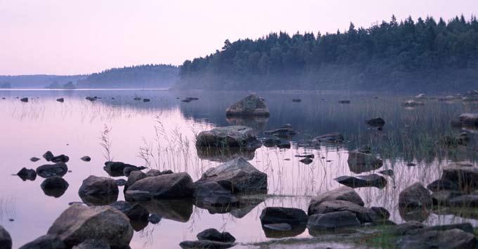 Ofta dominerande barrskog Sjöar och våtmarker är betydelsefulla element i landskapet Bosättning fokuserad i och kring ett flertal små tätorter Denna kraftigt skogsklädda landskapstyp förekommer i