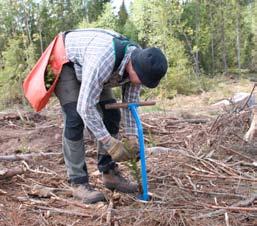 EU-medlemskapet och stöden till öppethållande av landskapet och bevarande av biologisk mångfald på betesmarkerna har gett en ökning av arealen betesmark i området.