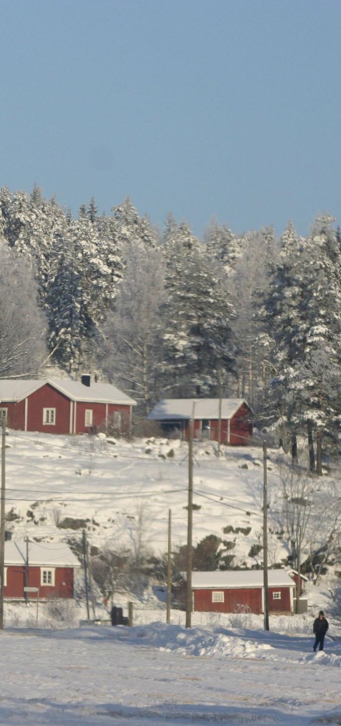 Trafiksäkerhet inom Grundtrygghetscentralens uppgiftsområden, diskussionsteman 17.2.