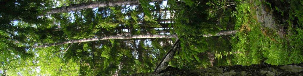 1. Brassberget Kommun: Ljusdal Läge: 2,5 km ONO Ramsjö Koordinater X 6870535, Y 1504391 Områdesbeskrivning Drygt 400 m högt bergsmassiv med väl utvecklad sydbrant.