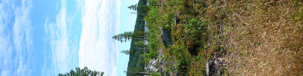 12. Hygge V Ysberget Kommun: Hudiksvall Läge: 26 km V Enånger, SV Hudiksvall Koordinater: X 6225419, Y 1545175 Områdesbeskrivning Större hygge av viss olikåldrighet, talldominerat med förekomst av