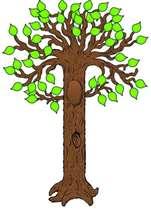 Hur många träd får plats? Mål: Öva på att mäta omkrets. Material: Rep i olika längder, ca 3-5 meter Övning: Dela in eleverna i par. Varje par får ett rep. Repet är t.ex.