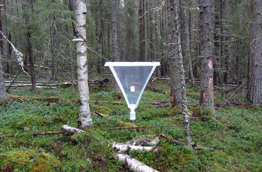 F15 338 meter över havet. Inriktning: att fånga insekter på främst björk. Fällans placering: Fällan är vänd mot sydost-nordväst.