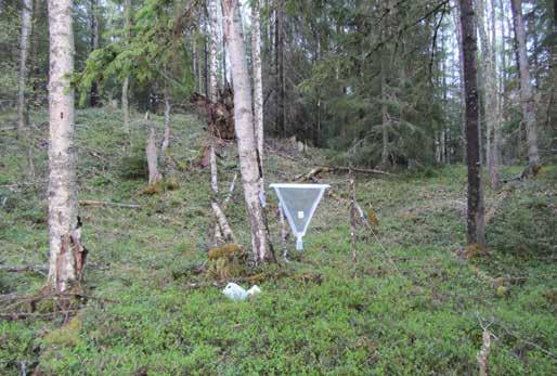Fällan inom Ø 10 meter: Direkt under fällan finns en hård asplåga, bitar av asp och björklåga med fnösketicka där veden är både hård och murken, en medelgrov aspstubbe 2 meter hög, en murken asplåga,