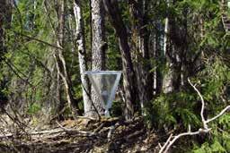 Fällan inom Ø 10 20 meter: Granskog med enstaka grova aspar och björkar. Fältfynd: Inga Fällfynd: mycelbaggen Agathidium mandibulare NT och 5 signalarter. F12 270 meter över havet.