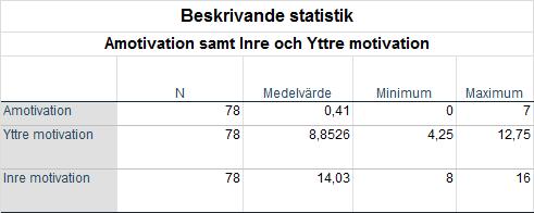 motivation, vilket kräver justering eftersom inre motivation innefattar endast en reglering.