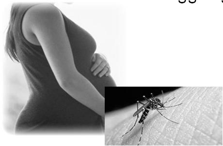 Zikavirusinfektion- obstetrisk handläggning Vad vet vi idag?