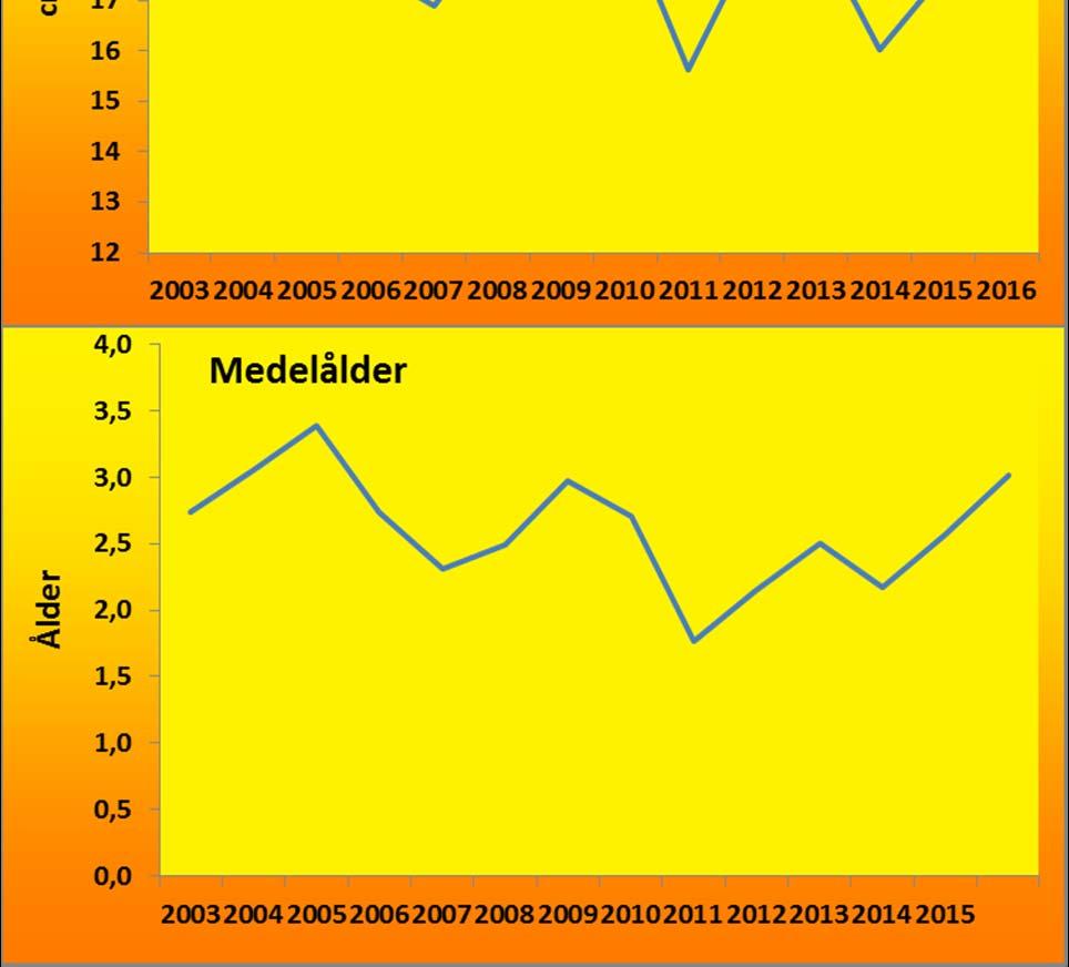 Orsaken till minskningen är troligen inte ökat fisketryck, utan svaga årsklasser under perioden 2007 2009 (se två följande sidor).