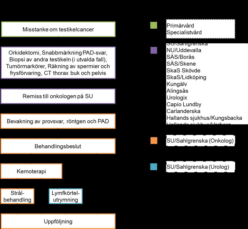 3. PATIENTENS VÄG GENOM VÅRDEN Här presenteras en beskrivning av hur patienters väg genom vården ser ut för patienter i Västra sjukvårdsregionen med testikelcancer.