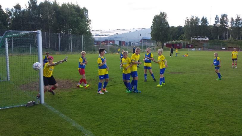 Verksamhetsinriktning VFF ska främja hela