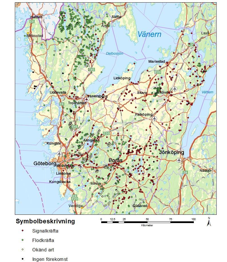Figur 7. Översiktlig bild av förekomster av flod- och signalkräfta, förekomst där arten är okänd samt vattenförekomster där kräfta inte förekommer.