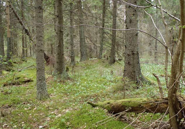 Utmärkande för dem är den stora andelen lövnaturskogar och lövrika barrnaturskogar. Skog med höga naturvärden.