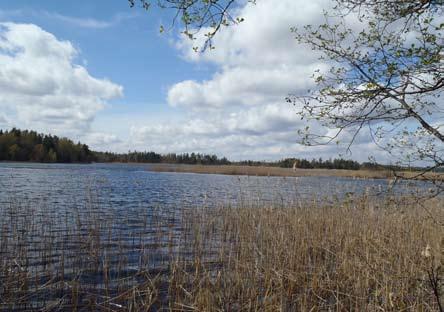 Skogslandskapets vattenmiljöer Naturvårdssatsningen i ekoparksplanen avser i första hand skogsmiljöer, men berör även ekoparkens olika vattenmiljöer.