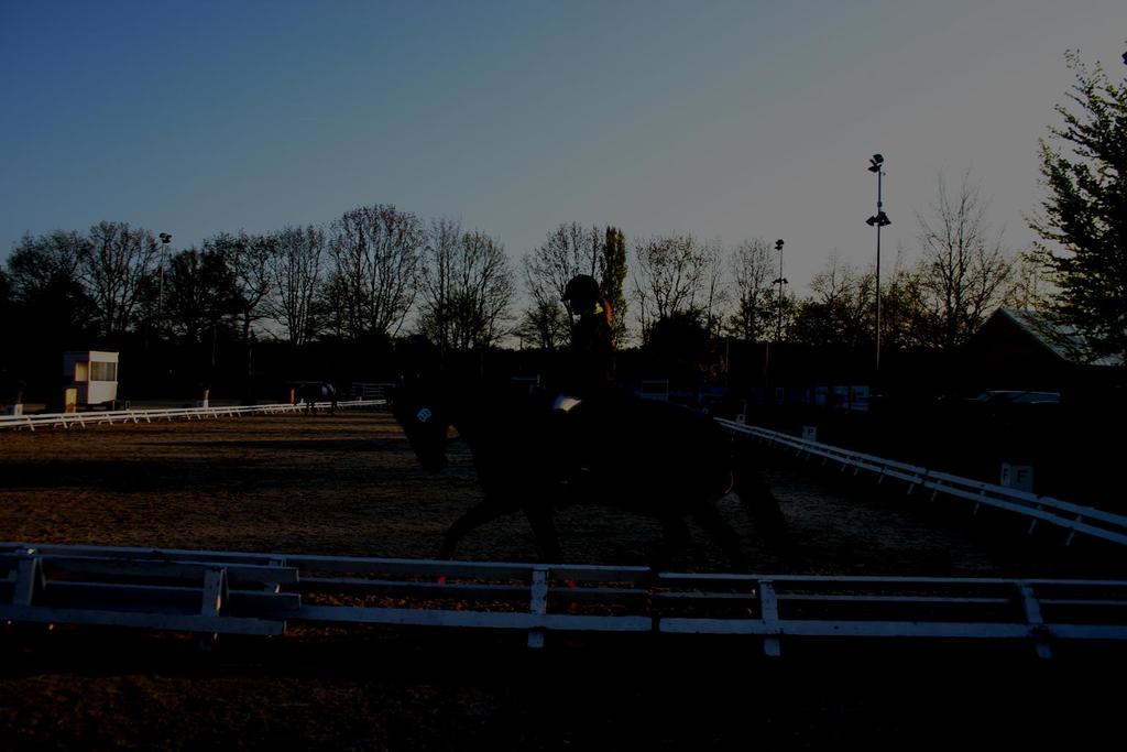 Foto: Ditte Egholm Nielsen Källor: Ridehesten.com Dansk rideforbund.dk Eurodressage.com FEI.org Ponnyresultat.se ponydressur.dk Bef.co.uk pferd-aktuell.