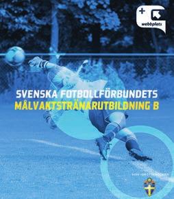 Här är samarbeten mellan de olika arenorna i samhället otroligt