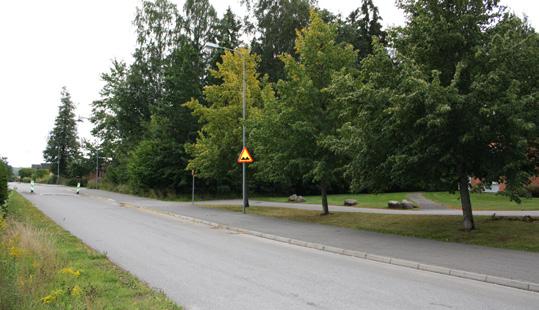 BYGGKLART BJÖRKBLADET BJÖRKBLADET