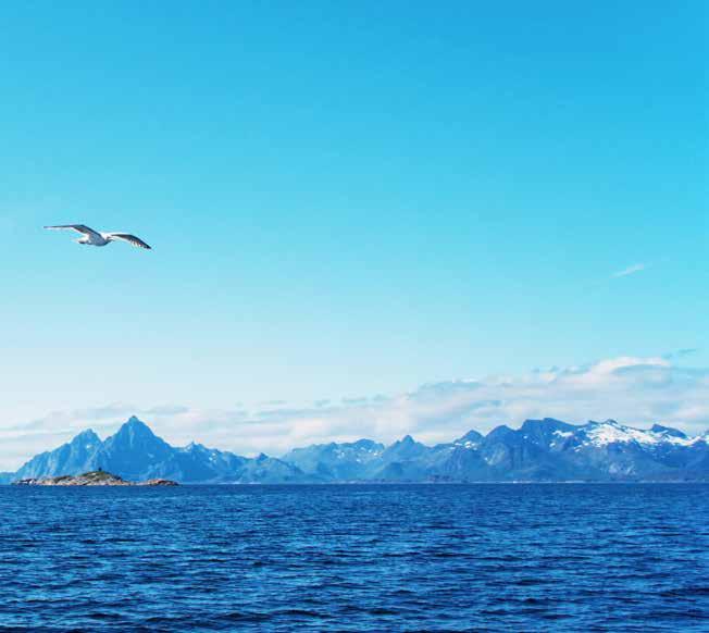 Marine Stewardship Council (MSC) Certifierat hållbart fiske MSC har ett omfattande certifierings- och miljömärkningsprogram för att främja hållbara fiskemetoder.