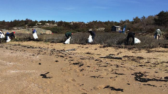 plast Det farliga kretsloppet 1. Plastskräpet slängs eller tappas på land. 5. Plasten kan hamna i människan via födan. 2. Skräpet hamnar i havet via åar, floder, dagvatten och reningsverk. 4.