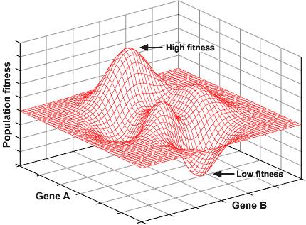 Vad är populationsgenetik? Läran om populationers genetiska sammansättning och de faktorer som påverkar den över tid.