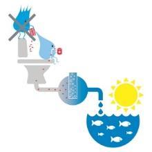 Avloppsvattens miljöpåverkan Innan avloppsvatten får släppas ut måste det enligt gällande lag tas om hand och renas.