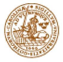 Nationalekonomiska Institutionen Magisteruppsats Ekonomihögskolan Augusti 2006 Lunds universitet Den
