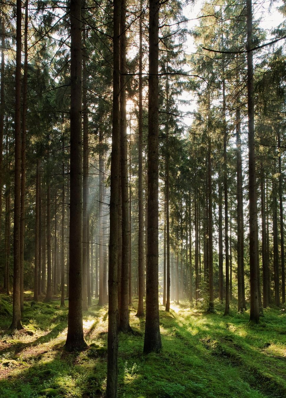 Ersättning vid dödsfall Vid dödsfall utbetalas ett engångsbelopp - dödsfallskapital till förmånstagare.