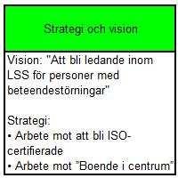 5. Analys att kunna nå upp till visionen. Då de som arbetar med boende dagligen arbetar för deras välmående som en del av arbetet mot visionen, är detta en del av strategin.