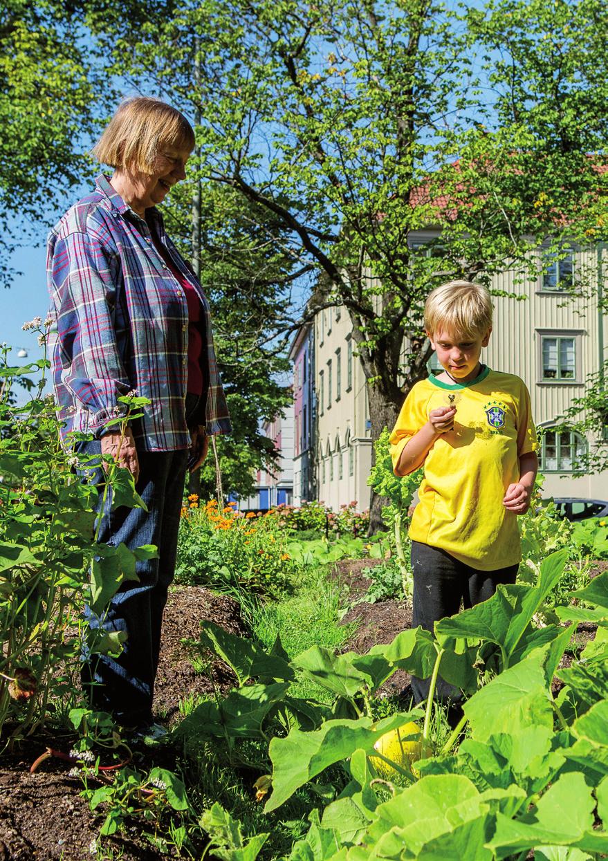 Agenda 2022 I Agenda 2022 framgår det tydligt vad Hyresgästföreningen ska arbeta med de närmaste sex åren. Här finns våra mål och strategier för att nå dem.