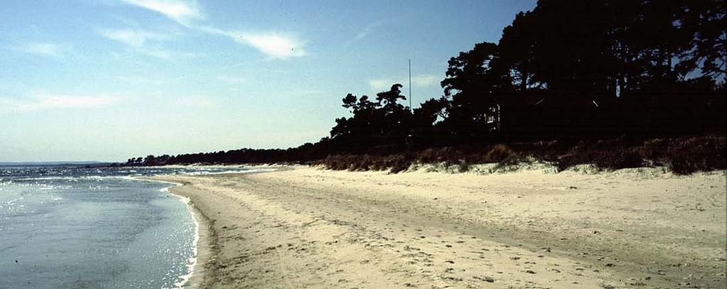 Läs mer om strandskydd! Vill du veta mer om strandskydd och hur strandskydd ska tillämpas kan du läsa vidare här: Miljöbalken: http://www.notisum.