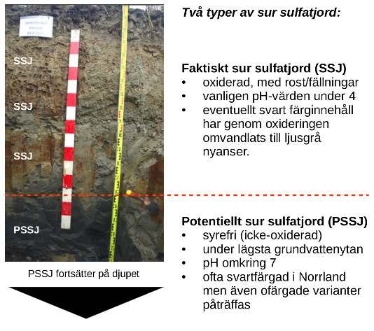 3 Kunskapsunderlaget I detta kapitel redovisas och diskuteras kunskapsläget och det kunskapsbehov som ligger till grund för Länsstyrelsens arbete. 3.