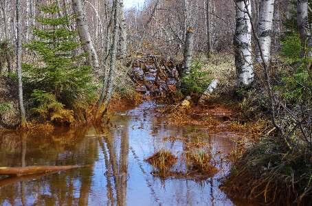 Om mätserier finns tillgängliga eller om enstaka extremvärden har uppmätts, kan det även finnas möjligheter att riskbedöma vattnet utifrån miljökvalitetsnormen för kemisk status för prioriterade