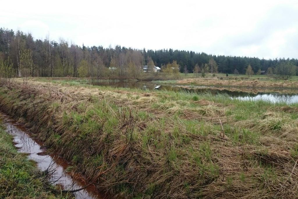 Grundvattenhöjande åtgärder Rent tekniskt - relativt enkla åtgärder Betydligt mer komplicerat än så: -Kontroversiellt att