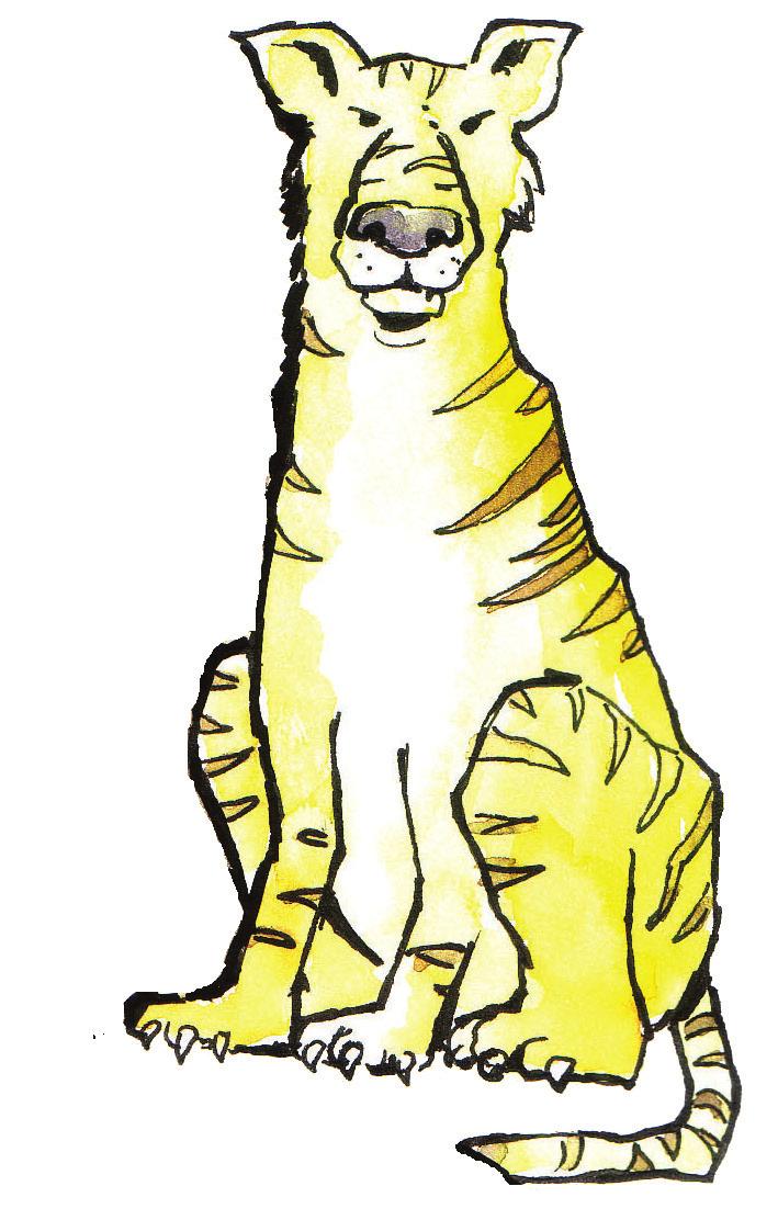 TIGERN